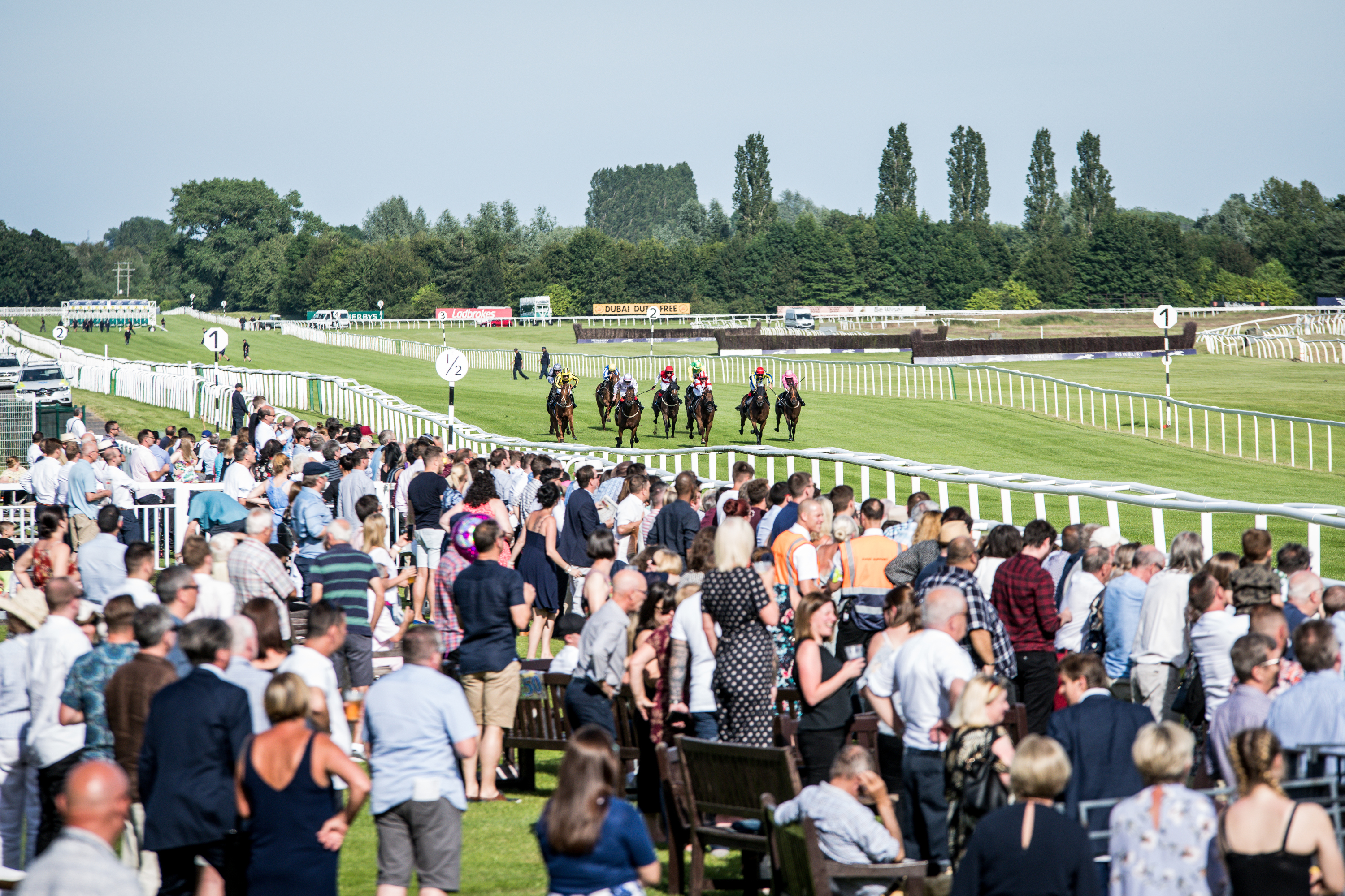 Newbury Annoucement