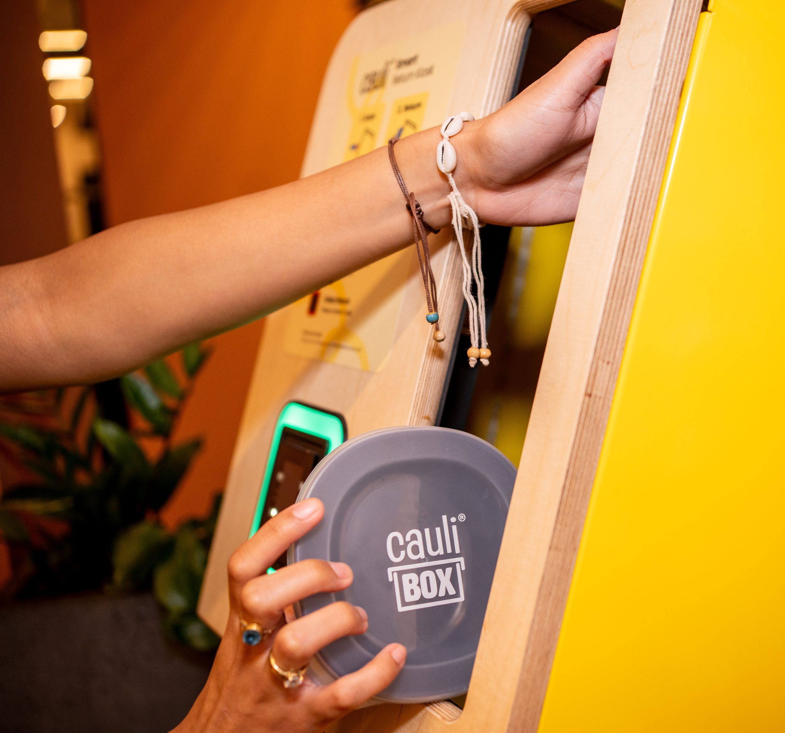 CauliKiosk 2.jpg