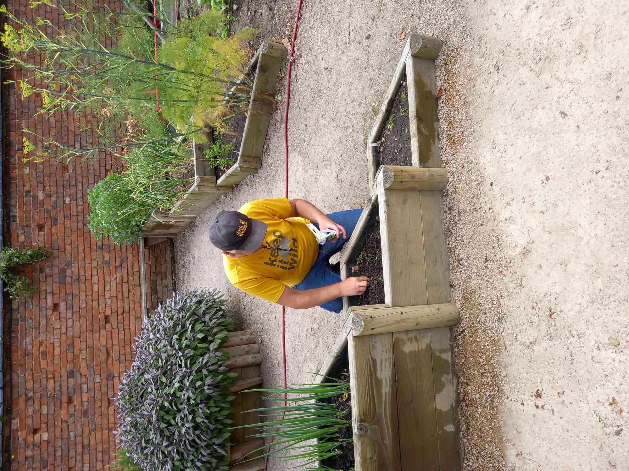 Volunteers shape up University of Leicester NHS Trust’s Secret Garden 1
