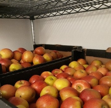 Apple donations