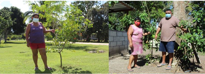 Pictured (left) is Yasuri Moh with her Orange tree and (right) Narcidalia and Diego Moh with their orange and avocado tree.