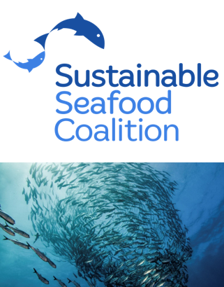 World Ocean Day