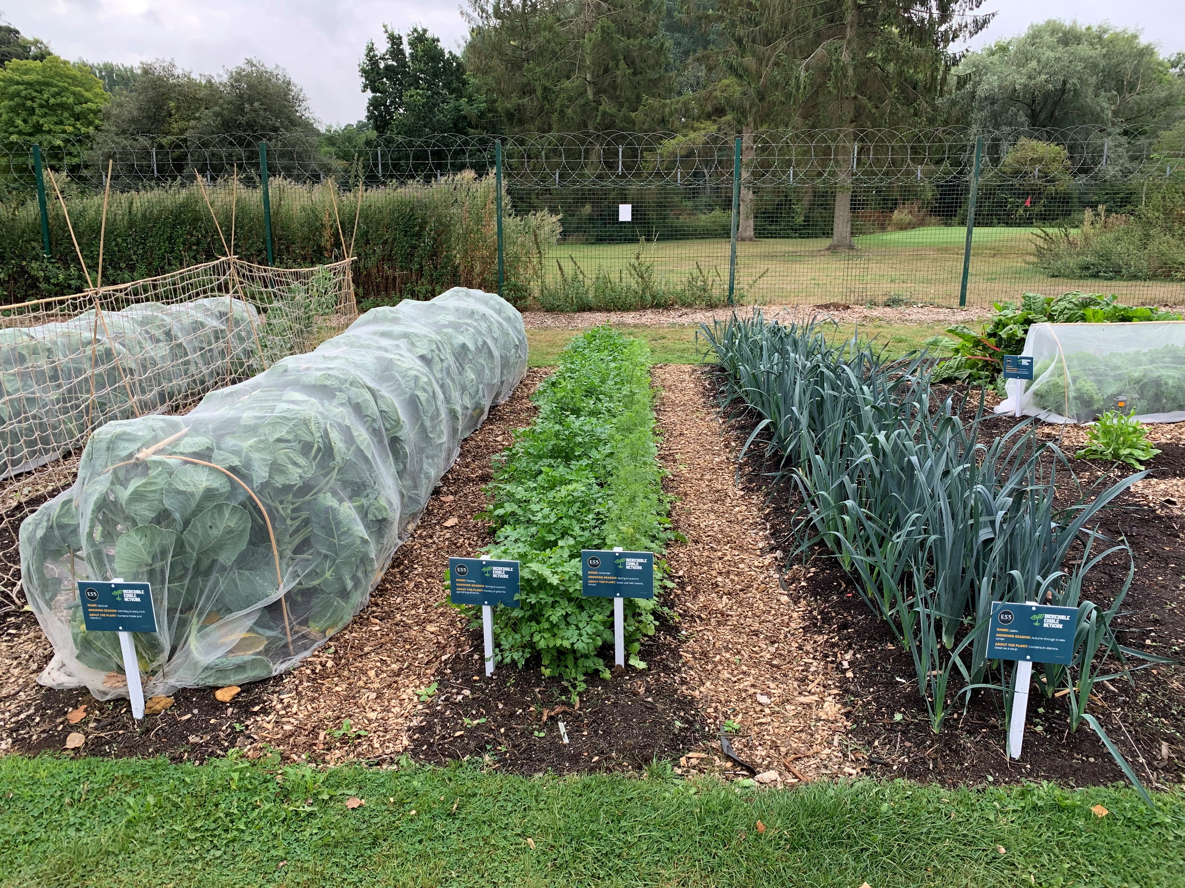 Defence Academy's garden