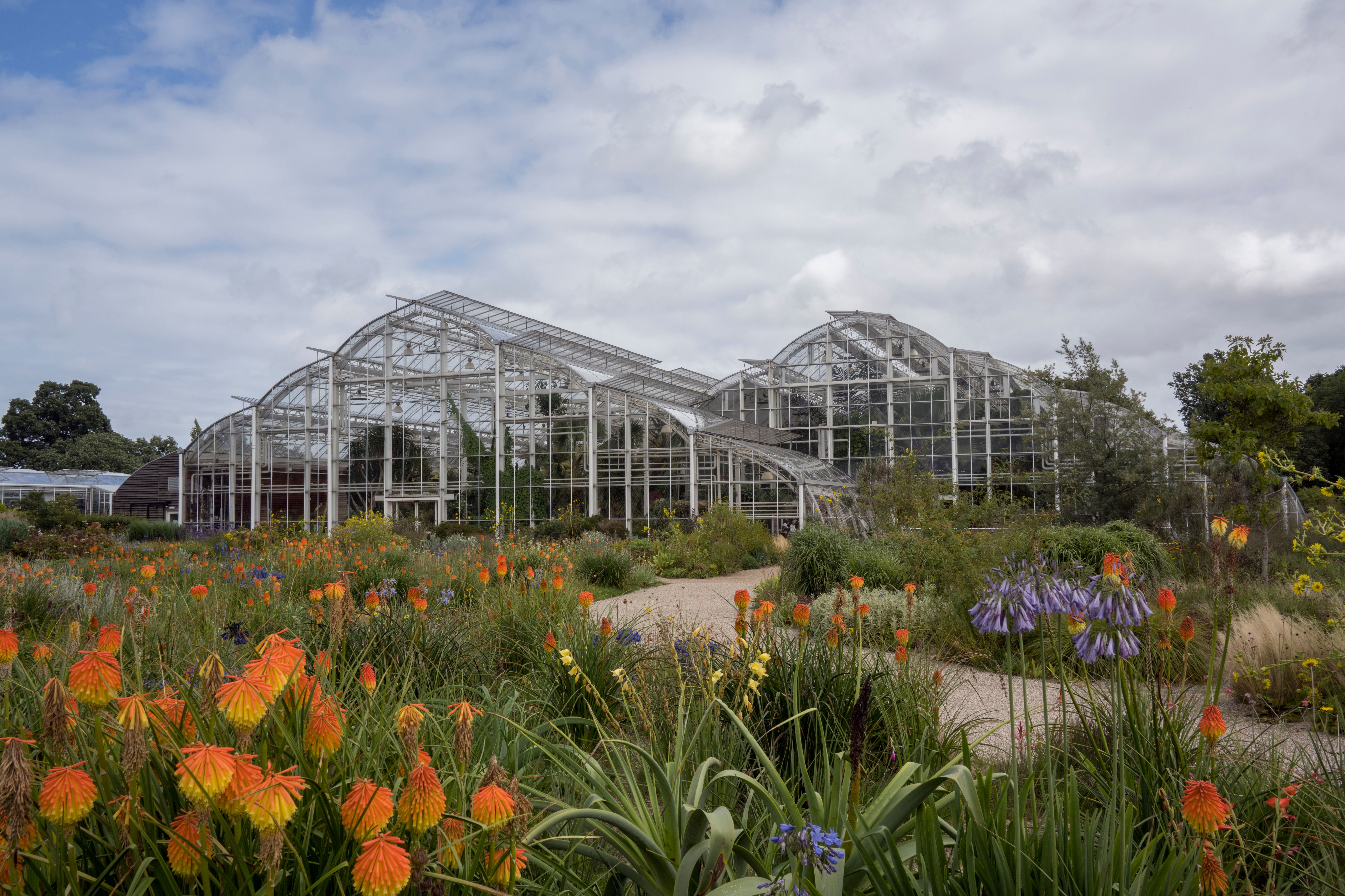 Restaurant Associates Venues to redefine food and drink at RHS Garden Wisley in new five-year partnership