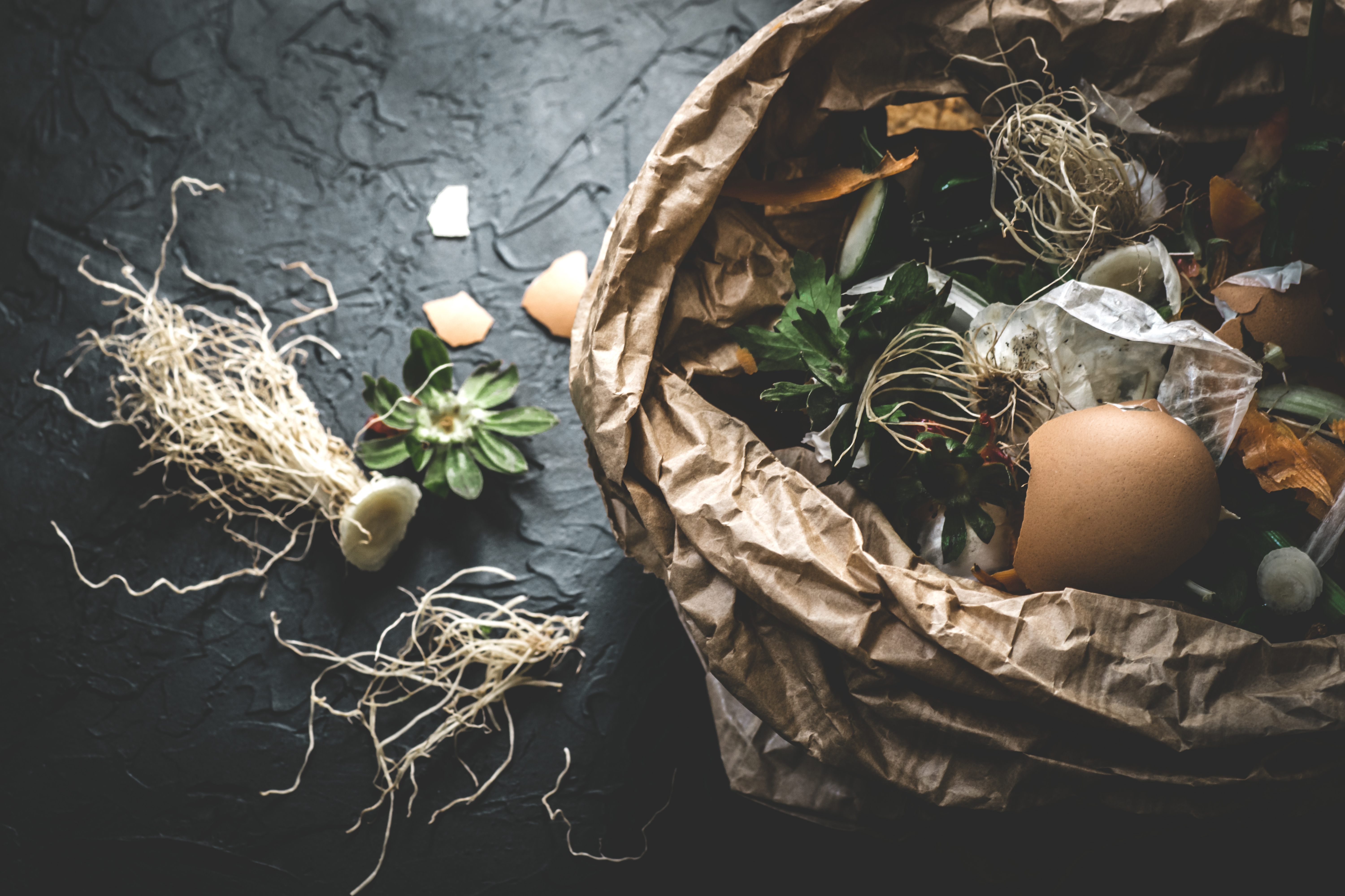 Compass Group UK & Ireland unites with WRAP for Food Waste Action Week