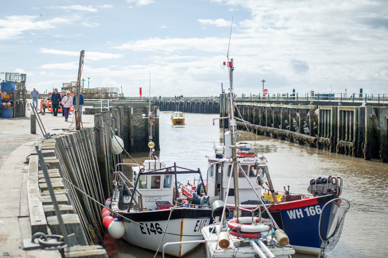 Levy sustainable fish