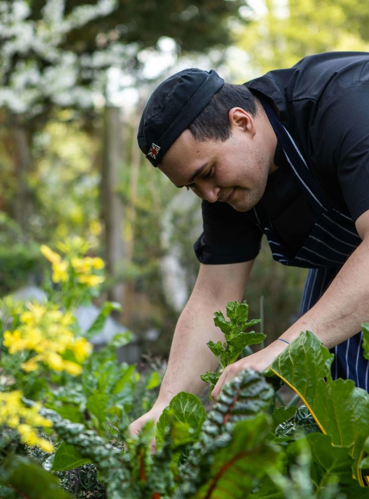 CompanyofCooks_ChelseaPhysicGarden_LauraJalbert_188.jpg