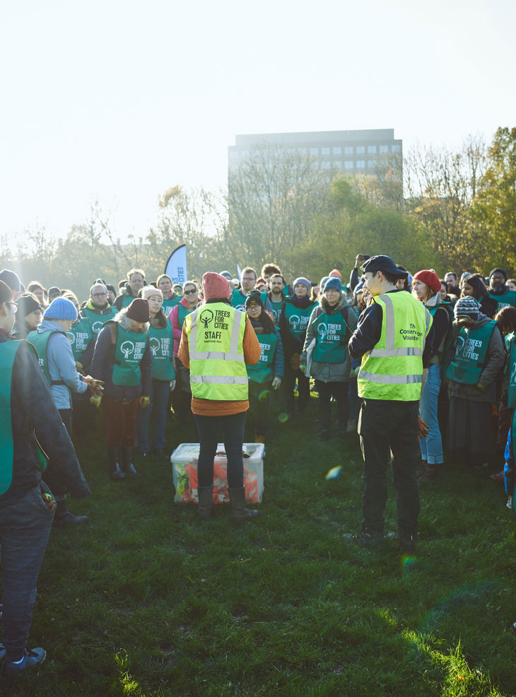 levy_sapling_tree_planting_4.jpg