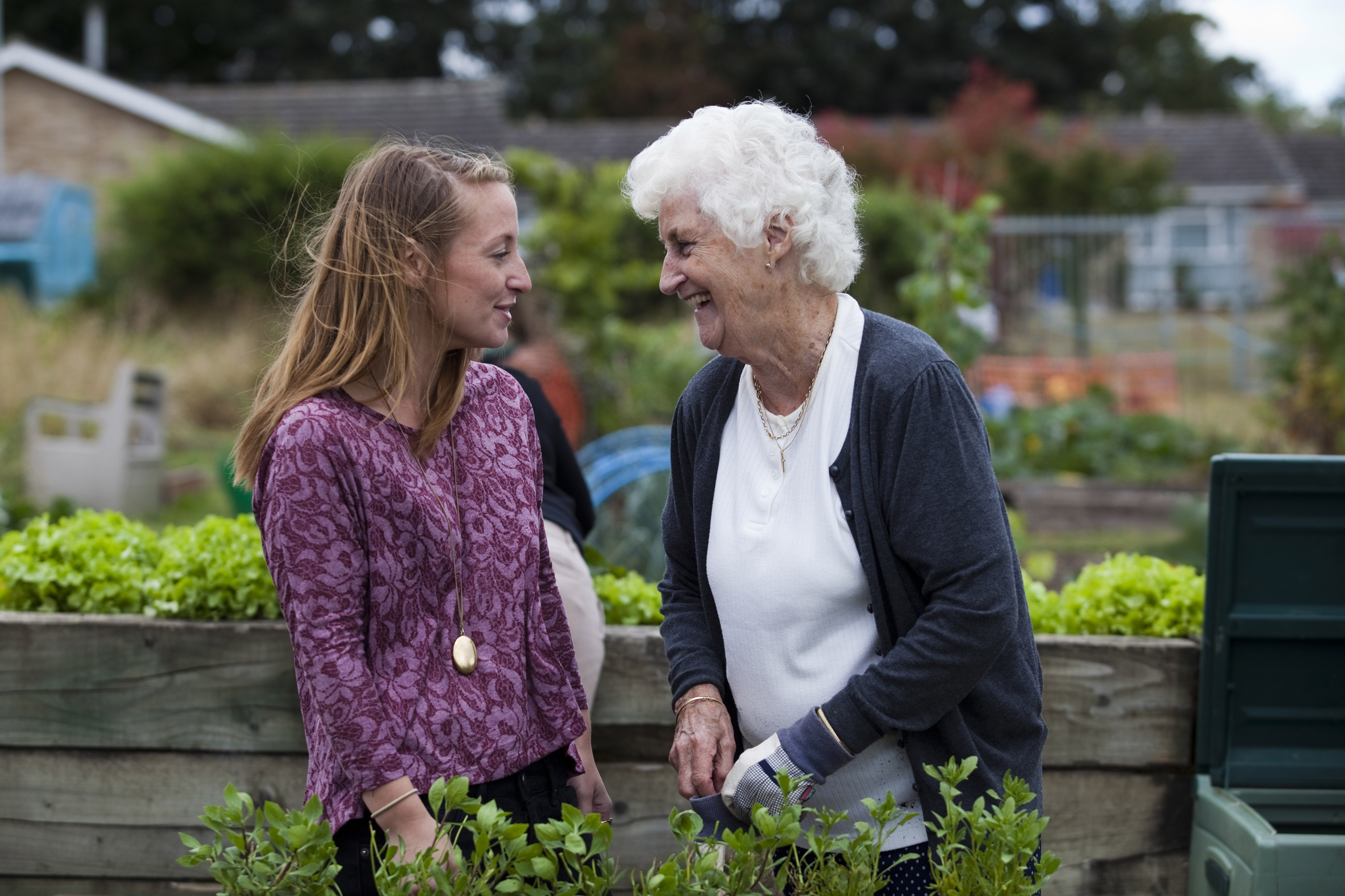 Dementia Adviser