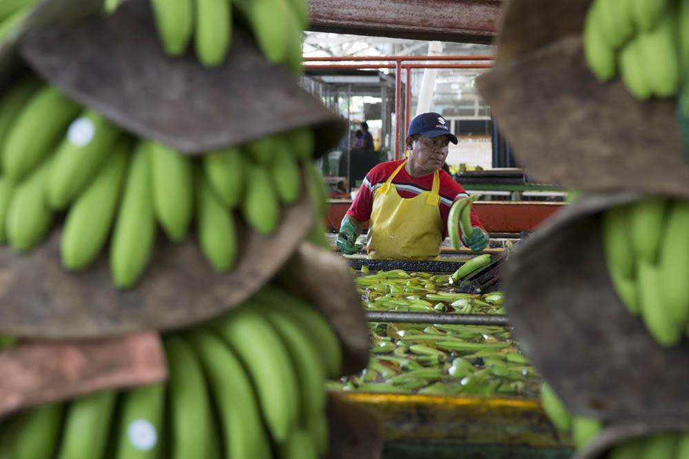 FairTrade