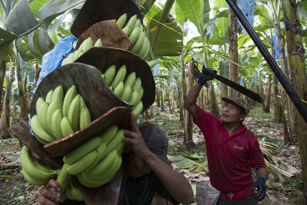 Fairtrade